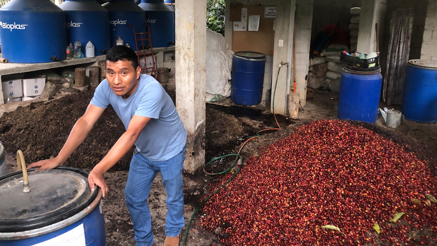 Production engrais bio fabrique coopÃ©rative Majomut au Mexique - CafÃ© bio grains 500g